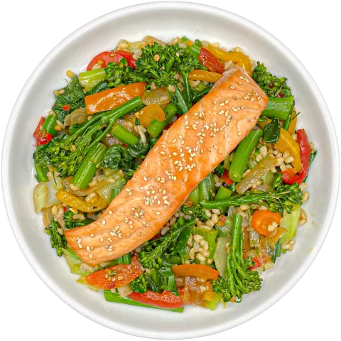 Teriyaki Salmon Bowl